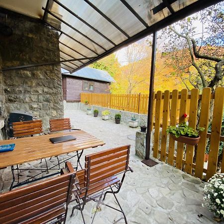 Apartment Carol Private Yard With Barbeque And Parking Sinaia Exterior foto