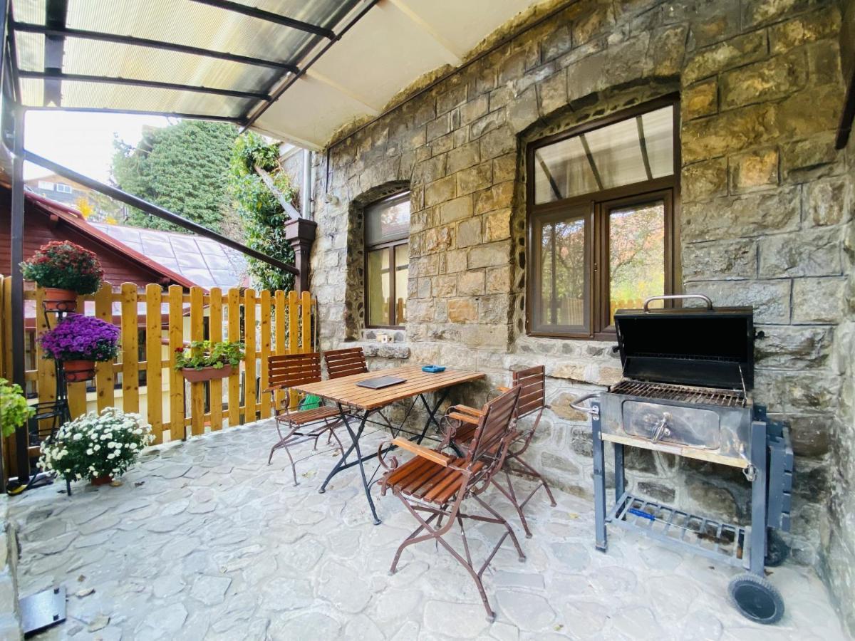 Apartment Carol Private Yard With Barbeque And Parking Sinaia Exterior foto