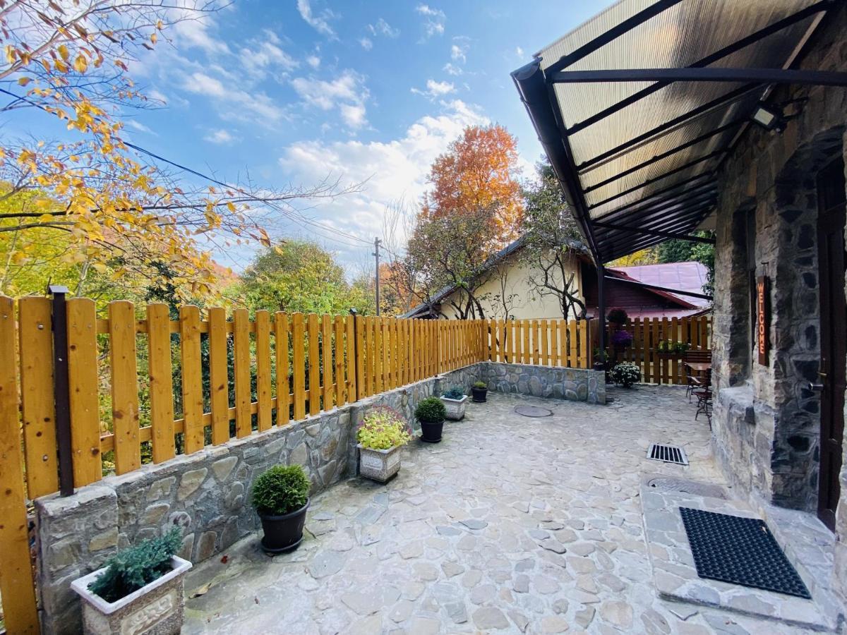 Apartment Carol Private Yard With Barbeque And Parking Sinaia Exterior foto