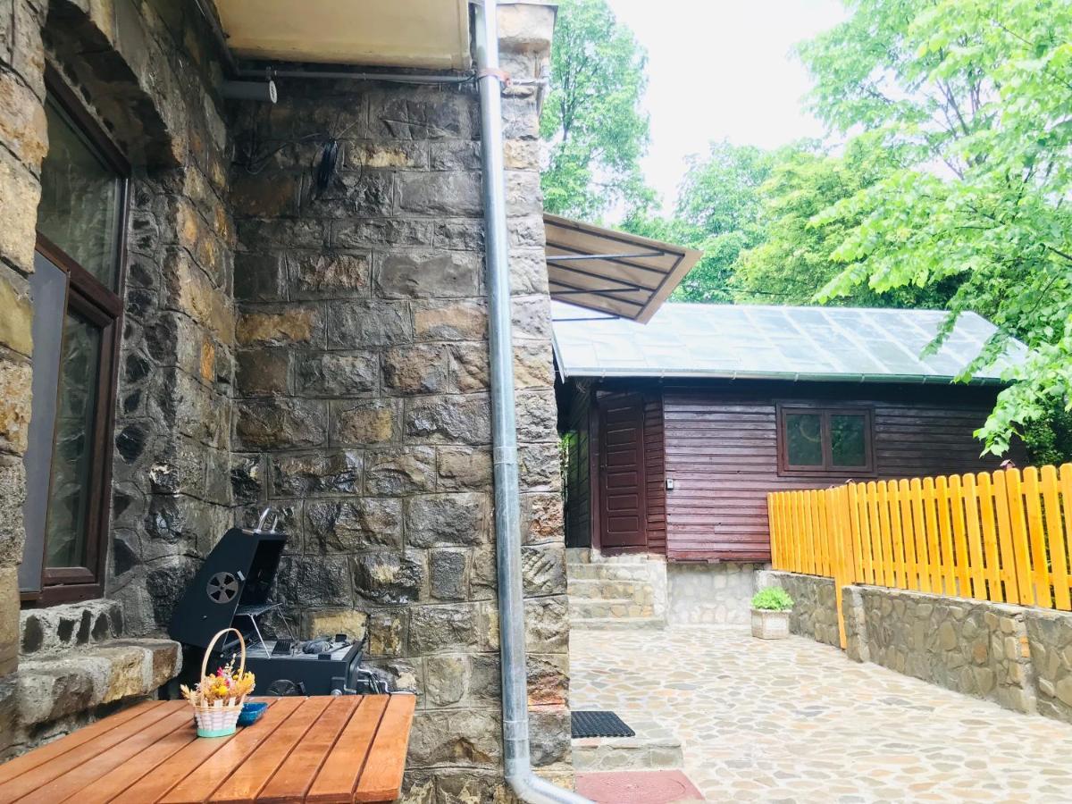 Apartment Carol Private Yard With Barbeque And Parking Sinaia Exterior foto